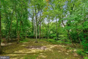456 Poplar Ln, Annapolis, MD 21403 - Photo 43