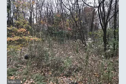 11813 Illinois Avenue, Cresaptown, MD 21502 - Photo 5