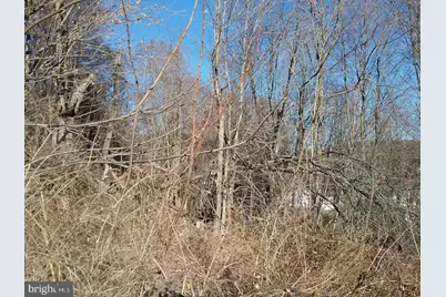 Route 40 Road, Eckhart Mines, MD 21528 - Photo 3