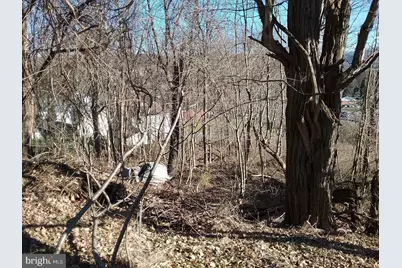 Route 40 Road, Eckhart Mines, MD 21528 - Photo 5