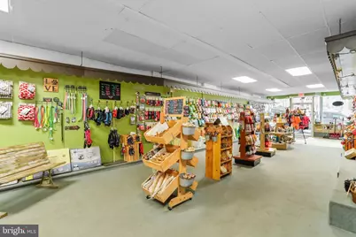 37 E Main Street, Frostburg, MD 21532 - Photo 7