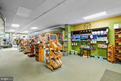 37 E Main Street, Frostburg, MD 21532 - Photo 5