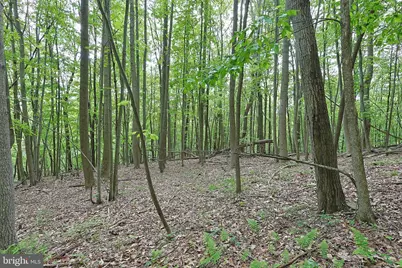 14600 Williams Road SE, Cumberland, MD 21502 - Photo 39