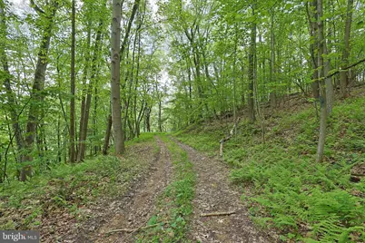 14600 Williams Road SE, Cumberland, MD 21502 - Photo 51