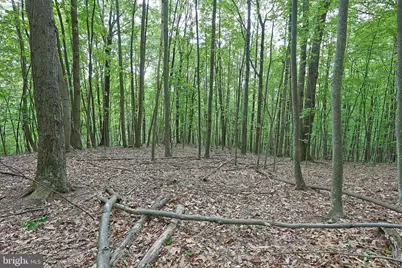 14600 Williams Road SE, Cumberland, MD 21502 - Photo 41