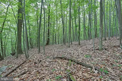 14600 Williams Road SE, Cumberland, MD 21502 - Photo 45