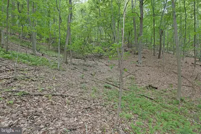 14600 Williams Road SE, Cumberland, MD 21502 - Photo 49
