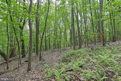 14600 Williams Road SE, Cumberland, MD 21502 - Photo 37