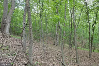 14600 Williams Road SE, Cumberland, MD 21502 - Photo 47