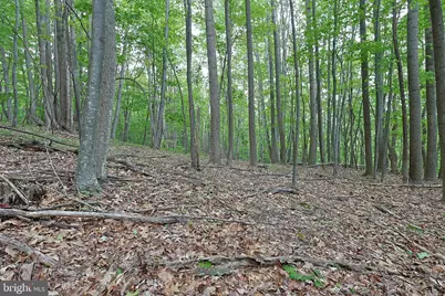 14600 Williams Road SE, Cumberland, MD 21502 - Photo 43