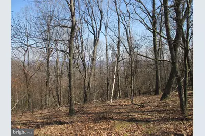 16334 Laurelhurst Boulevard, Cresaptown, MD 21502 - Photo 3