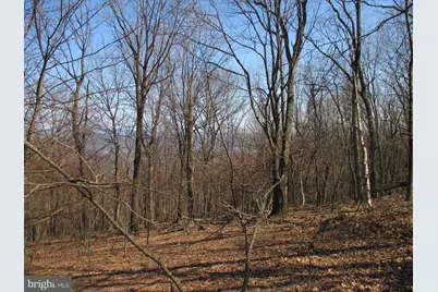 16334 Laurelhurst Boulevard, Cresaptown, MD 21502 - Photo 5