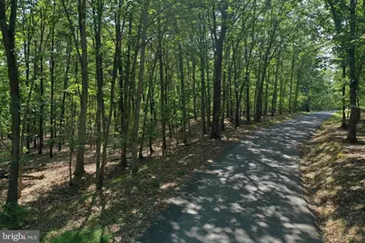 Walnut Ridge Road, Oldtown, MD 21555 - Photo 3