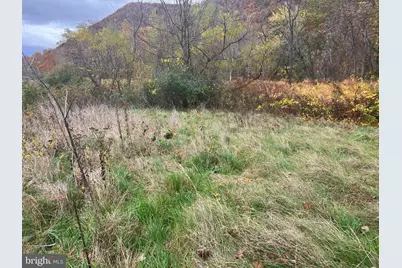 0 Westernport, McCoole, MD 21562 - Photo 3