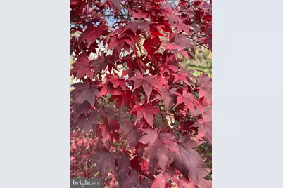 11416 Kline Drive NW, Cumberland, MD 21502 - Photo 53