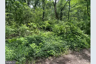 Oakwood Street, Cumberland, MD 21502 - Photo 1