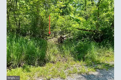 Firtree Lane, Cresaptown, MD 21502 - Photo 3