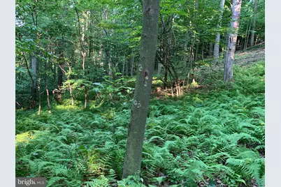 Old Hancock Road, Cumberland, MD 21502 - Photo 9