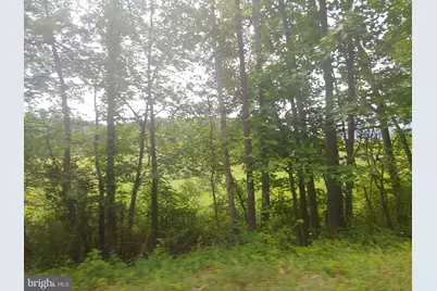 Bear Hill Road, Oldtown, MD 21555 - Photo 3