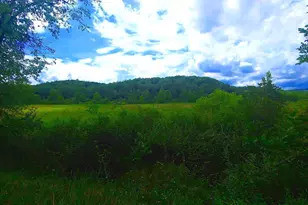 Bear Hill Rd, Oldtown, MD 21555 - Photo 1