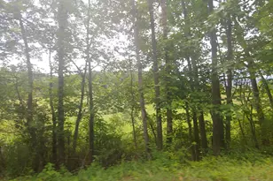 Bear Hill Rd, Oldtown, MD 21555 - Photo 1