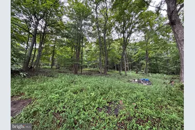 17211 Mount Savage Road NW, Frostburg, MD 21532 - Photo 39