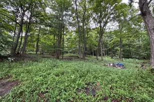 17211 Mt Savage Rd NW, Frostburg, MD 21532 - Photo 39