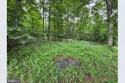 17211 Mount Savage Road NW, Frostburg, MD 21532 - Photo 37