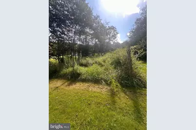 20628 Water Station Run Road SW, Lonaconing, MD 21539 - Photo 9