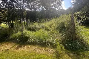 20628 Water Station Run Road SW, Lonaconing, MD 21539 - Photo 9