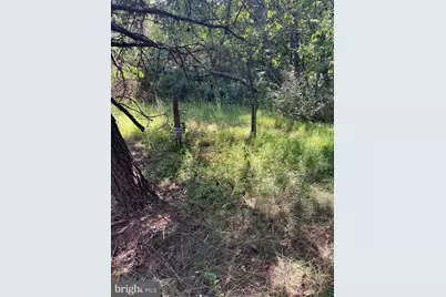 21923 Mallery Lane, Oldtown, MD 21555 - Photo 53