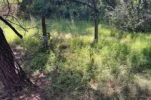 21923 Mallery Ln, Oldtown, MD 21555 - Photo 53