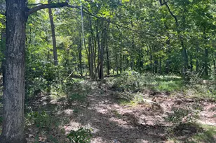 21923 Mallery Ln, Oldtown, MD 21555 - Photo 17