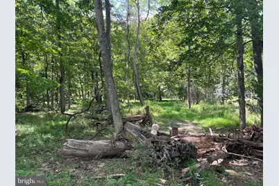 21923 Mallery Lane, Oldtown, MD 21555 - Photo 21