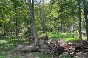 21923 Mallery Ln, Oldtown, MD 21555 - Photo 21