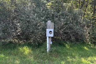 21923 Mallery Ln, Oldtown, MD 21555 - Photo 49