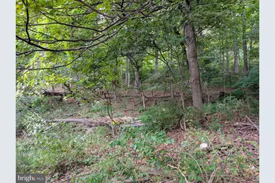 13512 Black Valley Road NE, Flintstone, MD 21530 - Photo 45