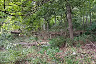 13512 Black Valley Road NE, Flintstone, MD 21530 - Photo 45