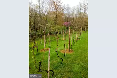 16805 Jericho Lane, Mount Savage, MD 21545 - Photo 57