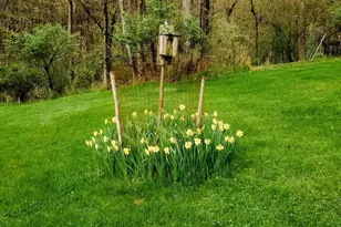 16805 Jericho Ln, Mount Savage, MD 21545 - Photo 55