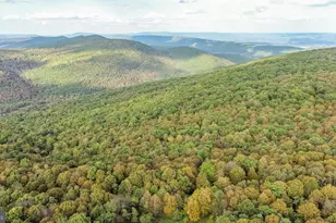 15800 Sprucewood Dr, Frostburg, MD 21532 - Photo 61