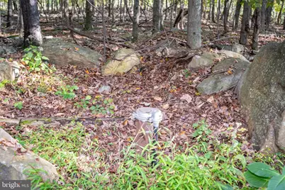 15800 Sprucewood Drive, Frostburg, MD 21532 - Photo 33