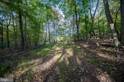 15800 Sprucewood Drive, Frostburg, MD 21532 - Photo 37