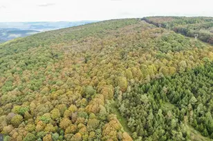 15800 Sprucewood Dr, Frostburg, MD 21532 - Photo 25