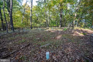 15800 Sprucewood Dr, Frostburg, MD 21532 - Photo 51