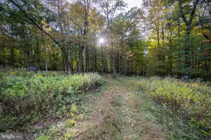 15800 Sprucewood Dr, Frostburg, MD 21532 - Photo 43