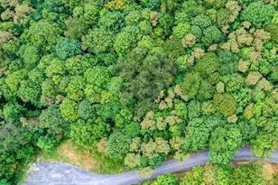 12305 Barbers Hill Rd, Frostburg, MD 21532 - Photo 1