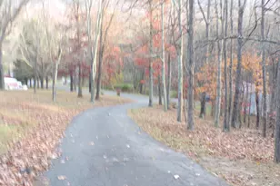 10331 Greenwood St, Ellerslie, MD 21529 - Photo 13