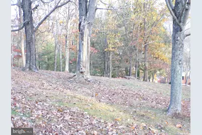 10331 Greenwood Street, Ellerslie, MD 21529 - Photo 11