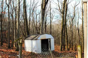 15509 Burton Park, Frostburg, MD 21532 - Photo 9